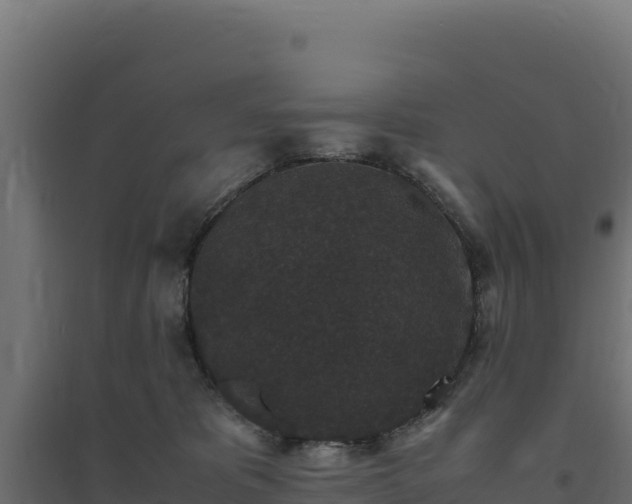 X0000094780325200711241344