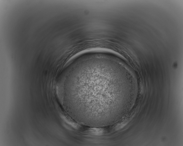 X0000094780328200711241344