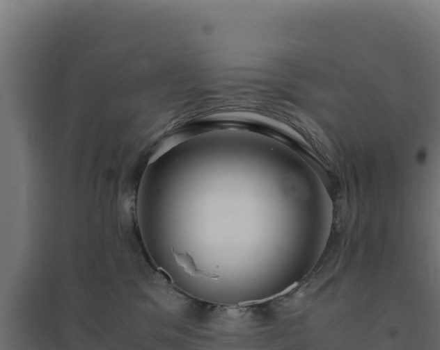 X0000094780329200711241344