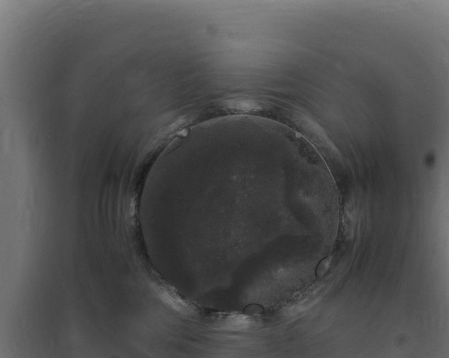 X0000094780330200711241344