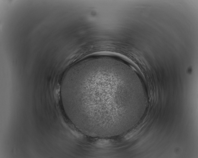 X0000094780332200711241344