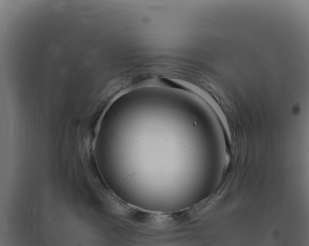 X0000094780333200711241344