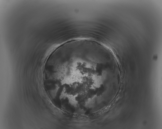 X0000094780337200711241344