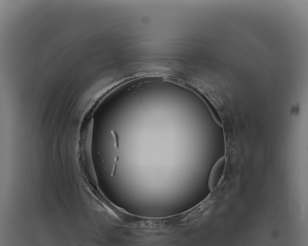 X0000094780338200711241344