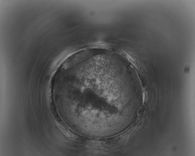 X0000094780339200711241344