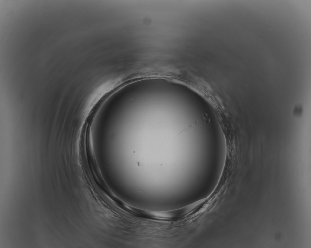 X0000094780340200711241344