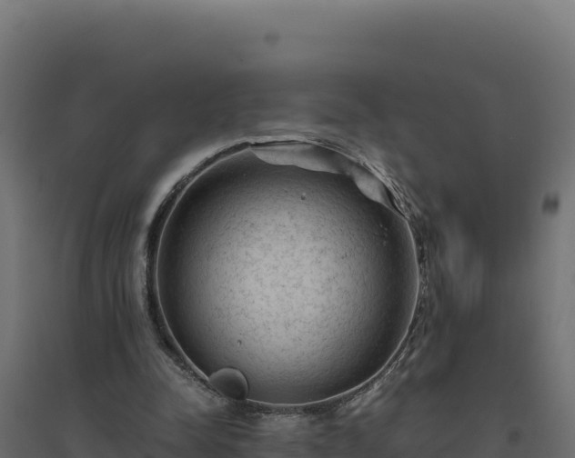 X0000094780342200711241344