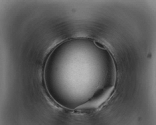 X0000094780345200711241344