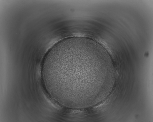 X0000094780347200711241344