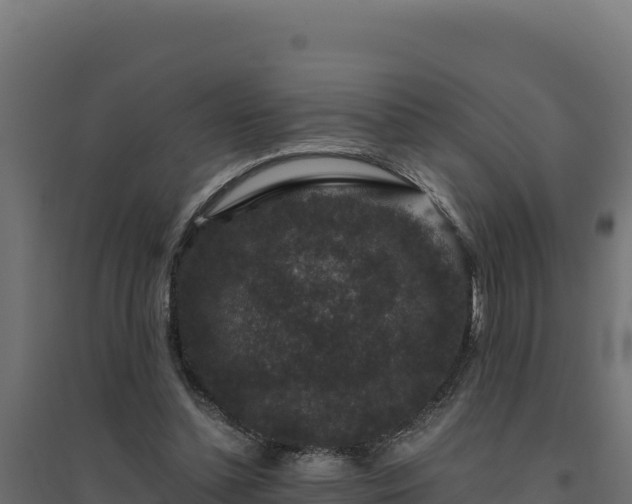 X0000094780348200711241344