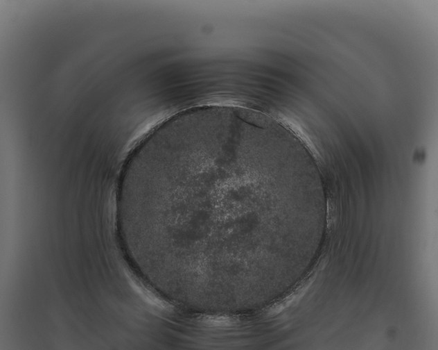 X0000094780349200711241344