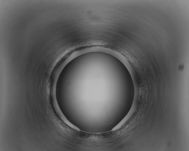 X0000094780350200711241344