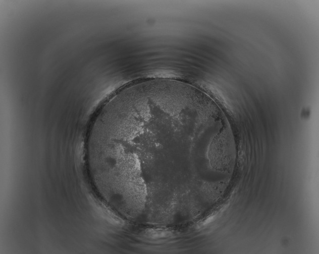 X0000094780351200711241344