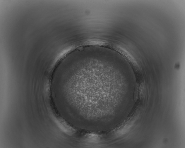 X0000094780352200711241344