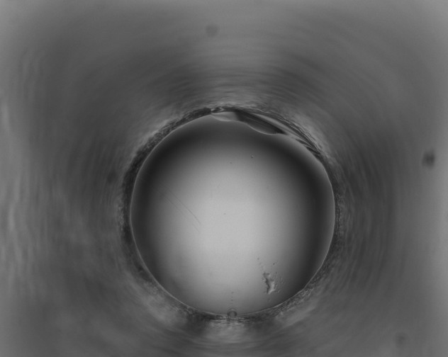 X0000094780354200711241344