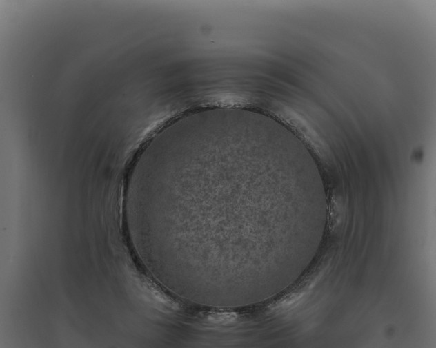 X0000094780355200711241344
