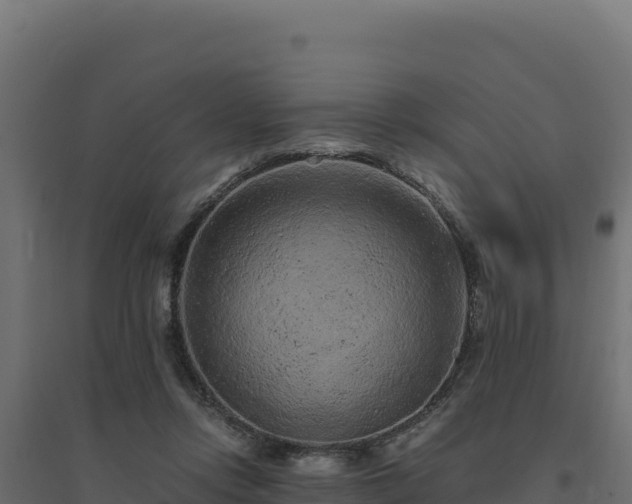 X0000094780358200711241344