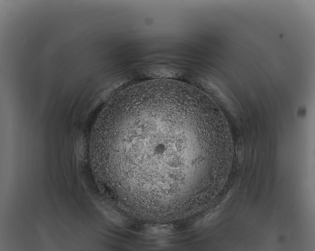 X0000094780359200711241344