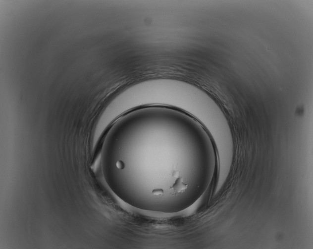 X0000094780360200711241344