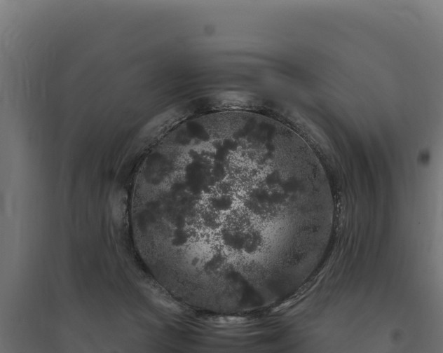 X0000094780361200711241344