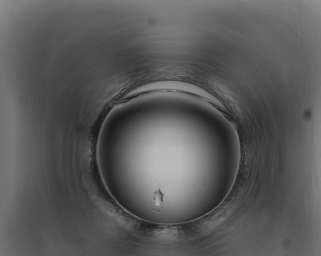 X0000094780362200711241344