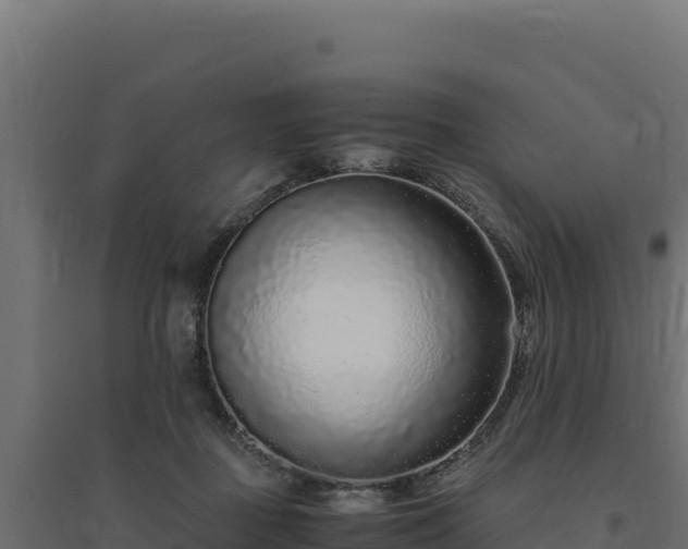X0000094780363200711241344