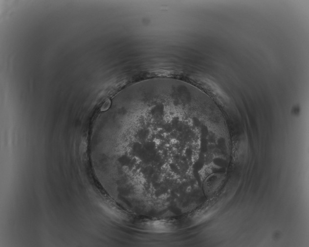 X0000094780365200711241344