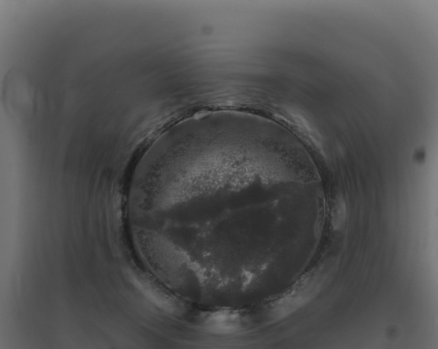 X0000094780366200711241344