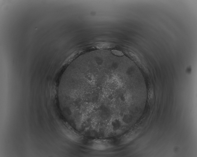 X0000094780367200711241344