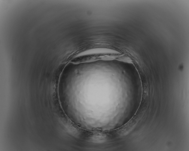X0000094780369200711241344