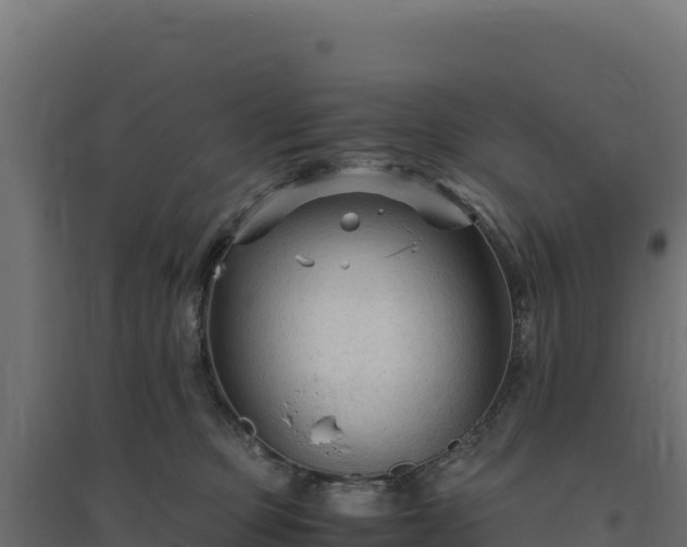 X0000094780373200711241344