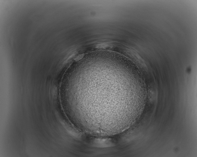X0000094780375200711241344