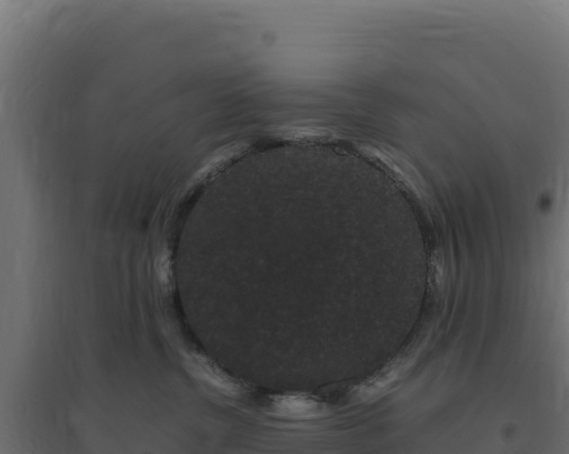 X0000094780380200711241344