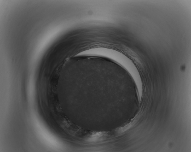 X0000094780382200711241344