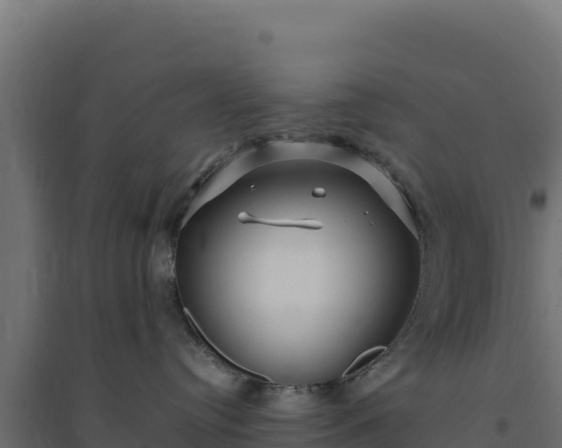 X0000094780384200711241344