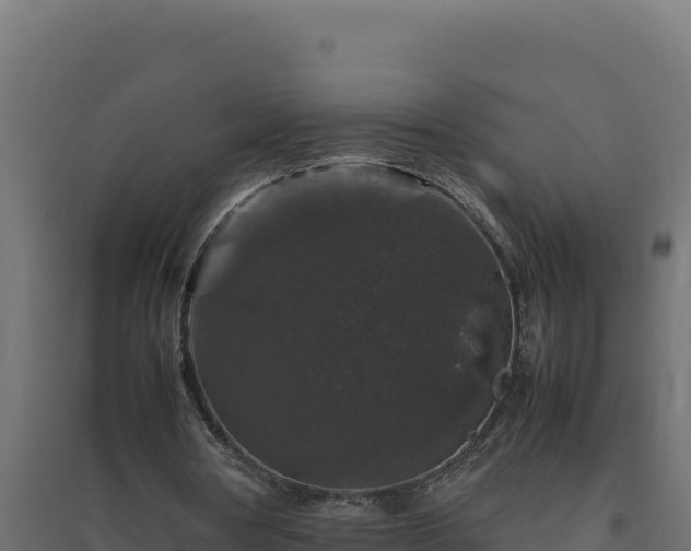 X0000094780386200711241344