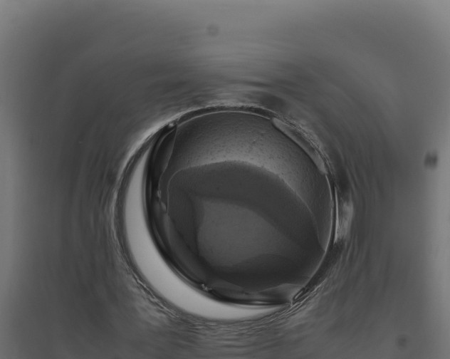 X0000094780387200711241344