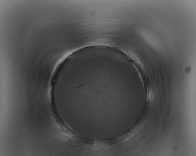 X0000094780388200711241344