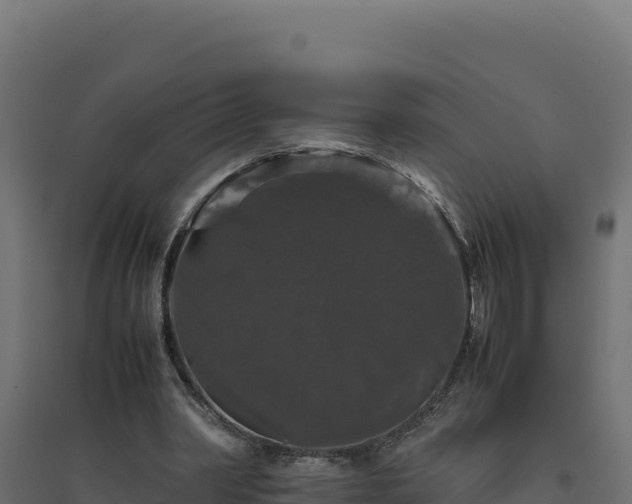 X0000094780390200711241344