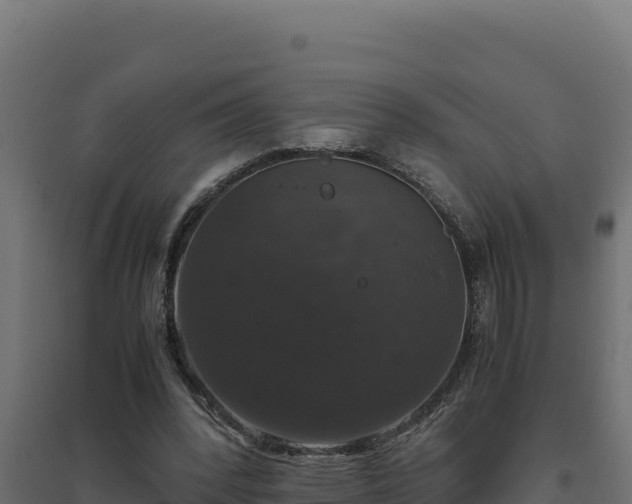 X0000094780392200711241343