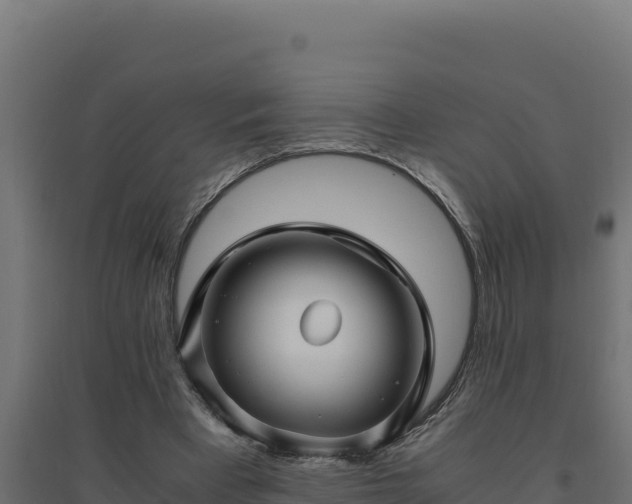 X0000094780393200711241343
