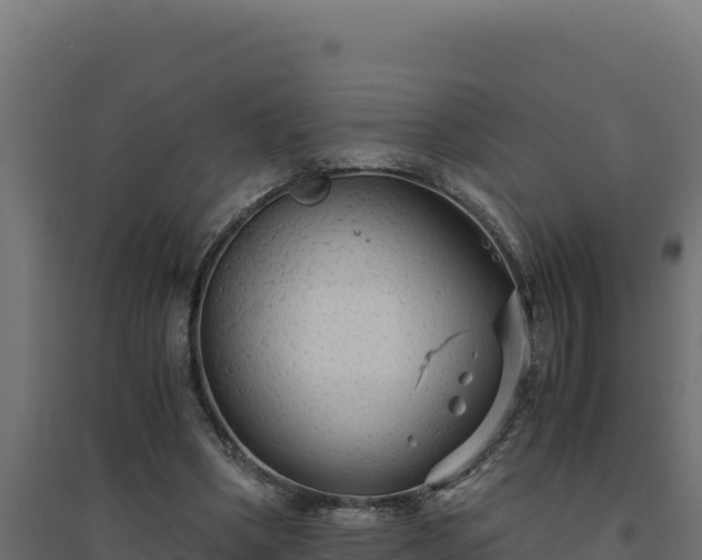 X0000094780394200711241343