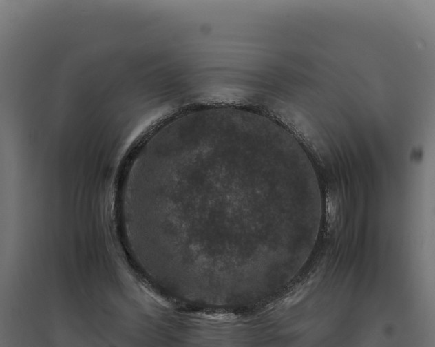 X0000094780396200711241343