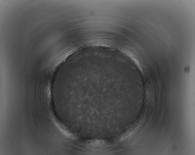 X0000094780398200711241343