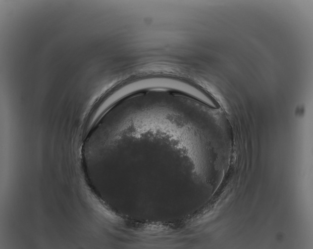 X0000094780399200711241343