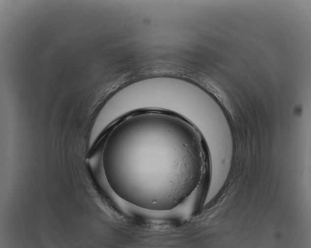 X0000094780401200711241343