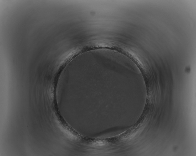 X0000094780402200711241343