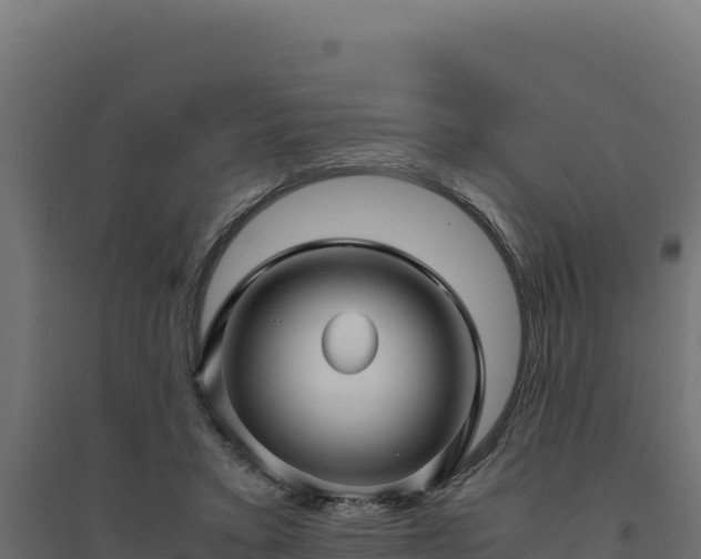 X0000094780403200711241343