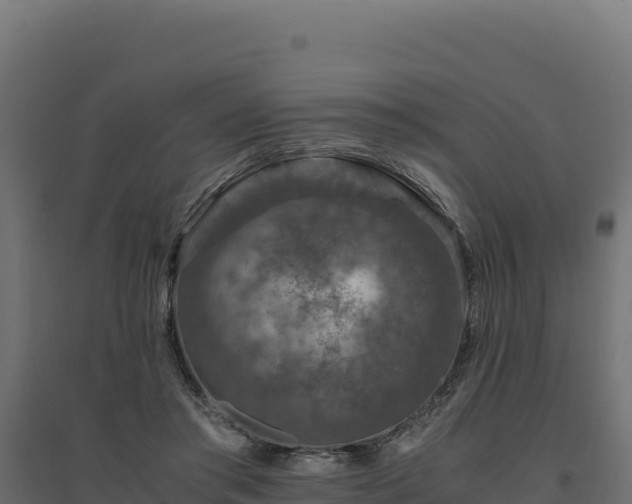 X0000094780405200711241343