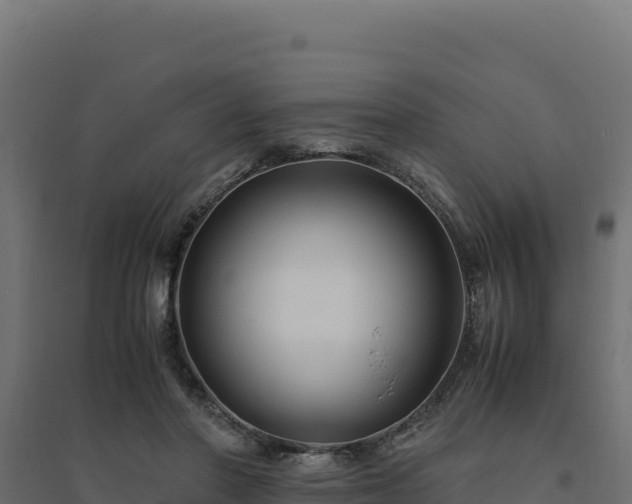 X0000094780406200711241343